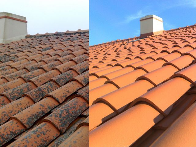 Photo avant après d'un traitement antimousse sur toiture infesté par des lichens