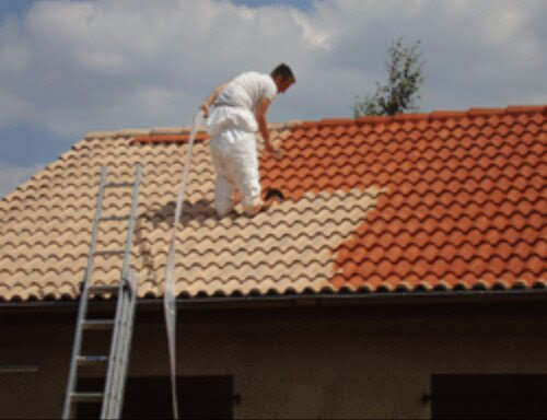 Peinture sur toit avec traitement antimousse