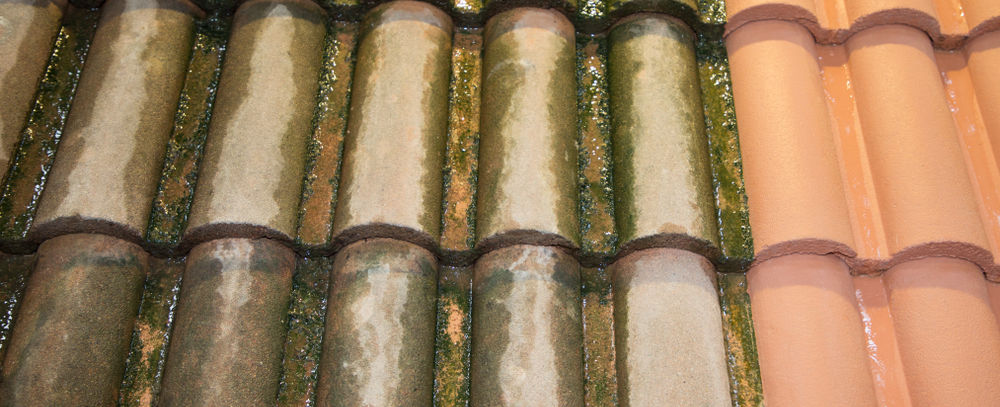 traitement-anti-mousse-hydrofuge-avant-apres